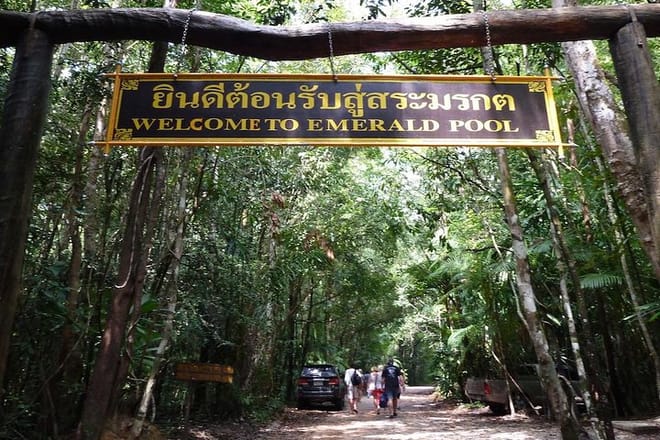 Thailand’s Last Lowland Rainforest – A Hidden Gem Tour photo 2