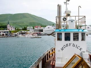 Húsavík: Small-Family Run, Responsible Whale Watching, photo 34
