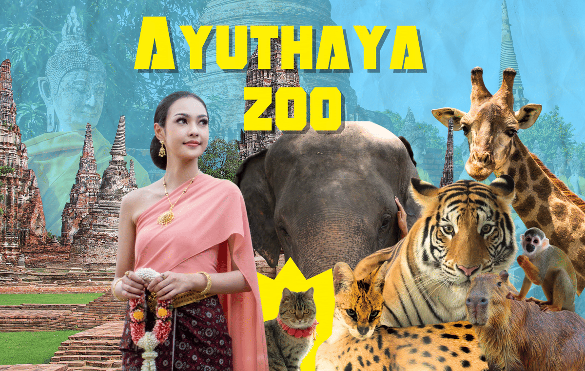 New Zoo in Ayuthaya Must See Temples and Thai Costume