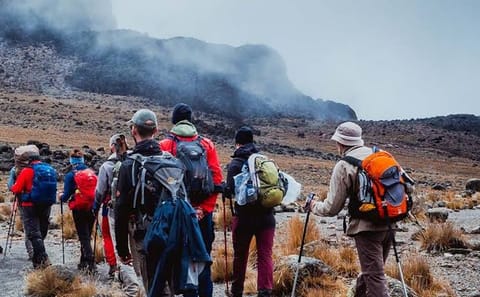 8-Day Mount Kilimanjaro Trek: Exclusive Lemosho Route Scenic Expedition