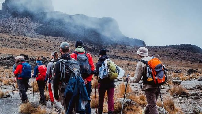 8-Day Mount Kilimanjaro Trek: Exclusive Lemosho Route Scenic Expedition photo 3