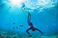 Snorkeling Key West Florida Day Trip Adventure with Boat, Snorkel in the Barrier Reef, Music & Free Open Bar 3