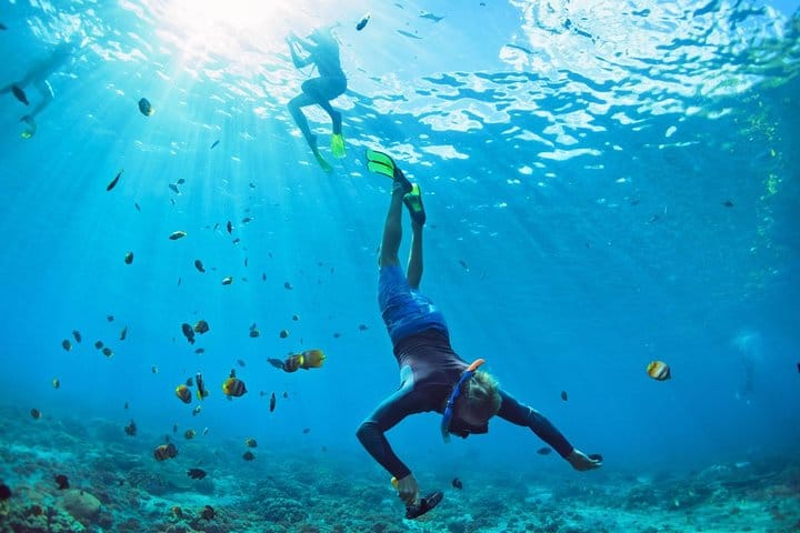 Snorkeling Key West Florida Day Trip Adventure with Boat, Snorkel in the Barrier Reef, Music & Free Open Bar 3