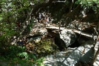 Explore the Hidden Beauty of Richtis Gorge on a Private Tour 10