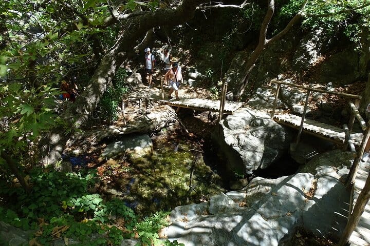Explore the Hidden Beauty of Richtis Gorge on a Private Tour 10