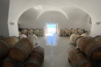 Santorini Private Wine Exprerience : 3 Wineries & Local Snacks 3