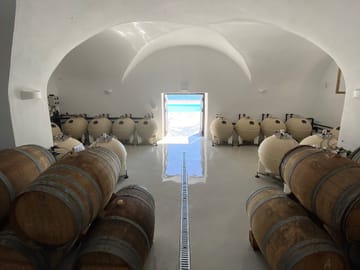 Santorini Private Wine Exprerience : 3 Wineries & Local Snacks