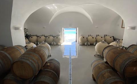 Santorini Private Wine Tour: Visit 3 Wineries with Local Snacks