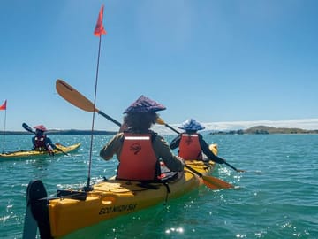 Auckland Sea Kayak Tour to Browns Island Motukorea