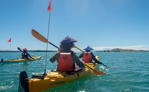 Auckland Sea Kayak Tour to Browns Island Motukorea