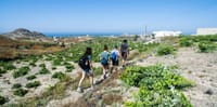 Cooking Class, Easy Hike and Snorkeling 10