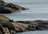 Helsinki has over 300 islands just outside the doorstep