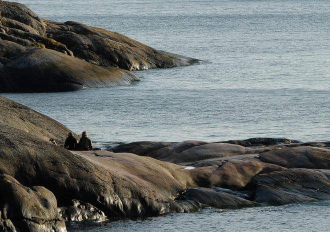 Helsinki has over 300 islands just outside the doorstep