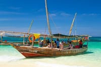 Private Prison Island and Nakupenda Full Day Boat Trip 10