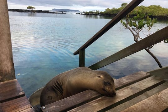 6 Day Galapagos Complete Island Hopping