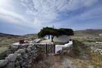 Mykonos Island Tour for Cruise Passengers 4