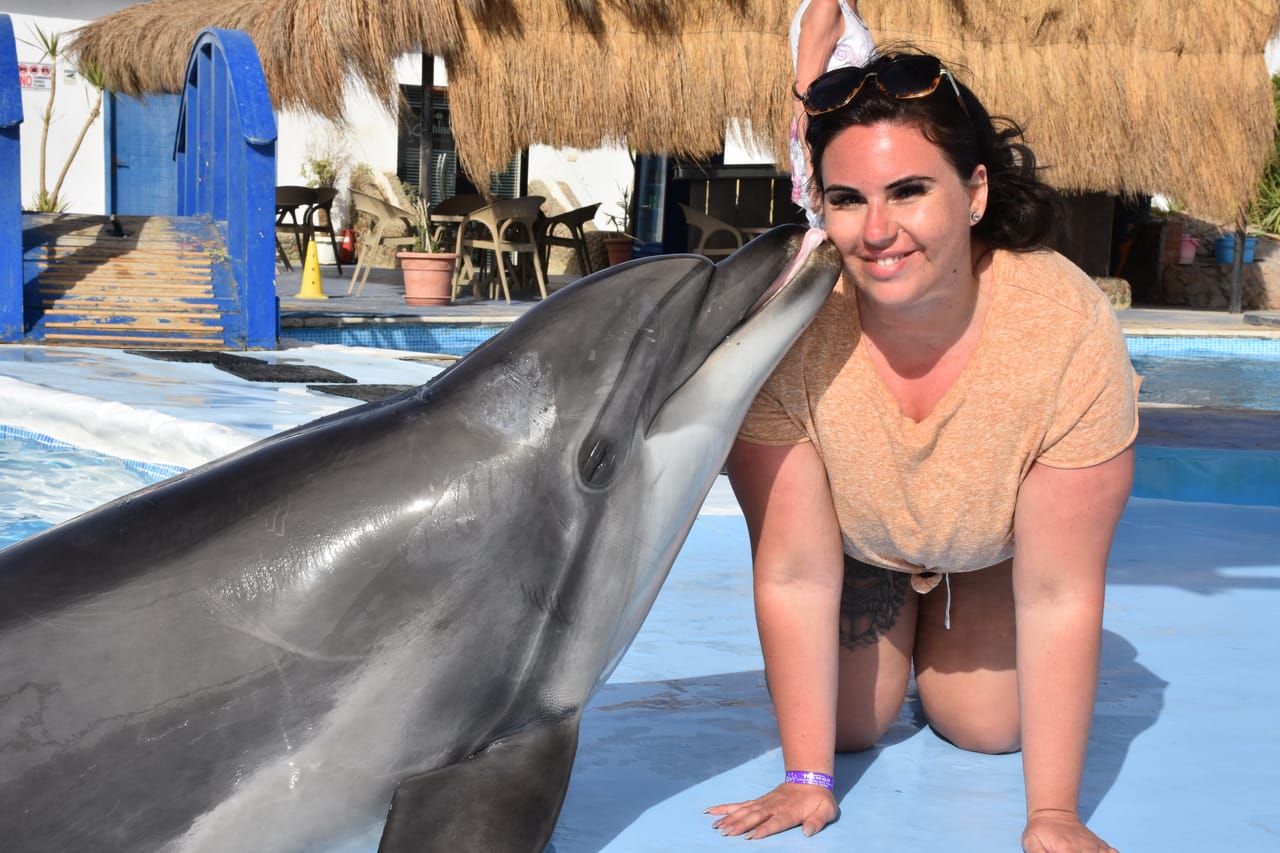 Premium 10 Minutes Dolphin Swimming Experience - Hurghada 7