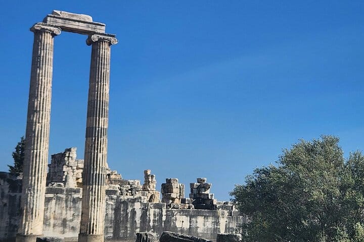 Private Guided Tour from Izmir to Didyma with Transportation