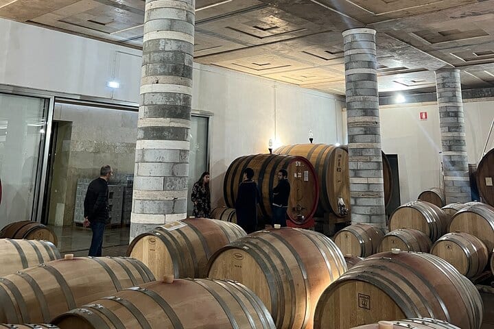 Wine Tastings and Visit to 3 Cellars in Chianti with Lunch&Transfer 6
