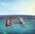 Dolphin Swim Adventure in Dolphin Cove Ocho Rios  7