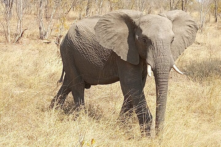 15 minutes scenic helicopter flight above Victoria Falls-Zimbabwe