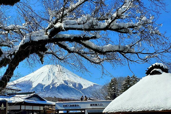 Full Day Private Guided Tour Mt. Fuji and Hakone