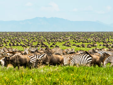 9 Days Unforgettable Tanzania