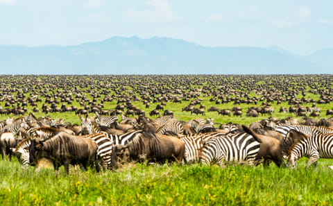9 Days Unforgettable Tanzania