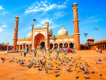 Old & New Delhi Private Day Tour with Female Guide