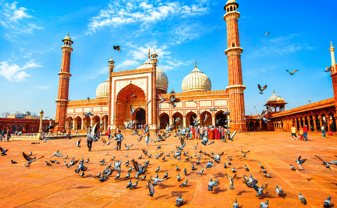 Old & New Delhi Private Day Tour with Female Guide