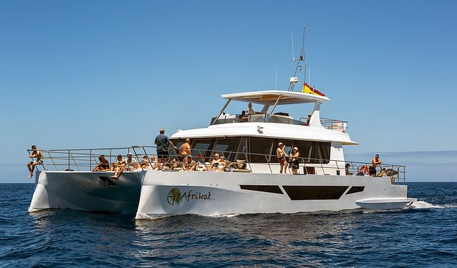 Excursion aboard the Afrikat Catamaran (no pick-up service, departures from Puerto Rico)