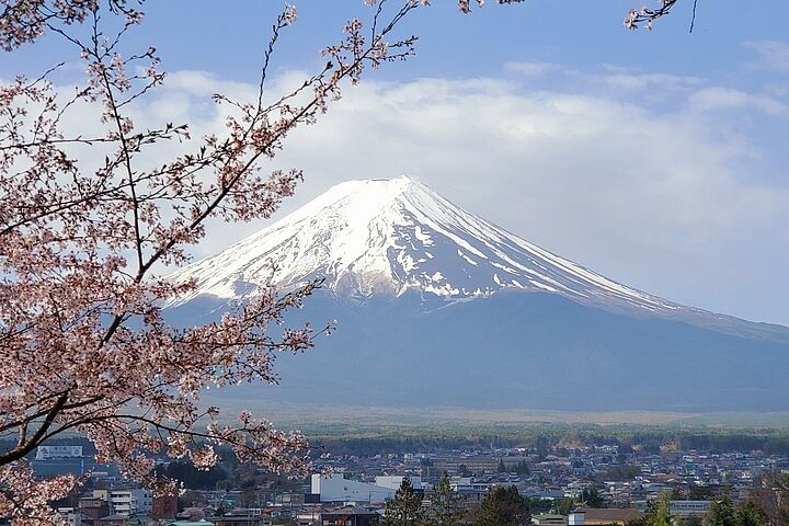 Mt. Fuji and Hakone Private Tour with Bullet Train Return