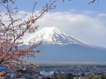 Mt. Fuji & Hakone Customizable Private Tour Bullet Train Return