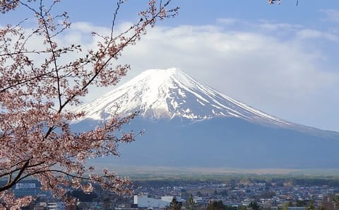 Mt. Fuji & Hakone Customizable Private Tour Bullet Train Return