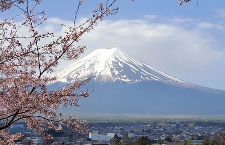Mt. Fuji & Hakone Customizable Private Tour Bullet Train Return