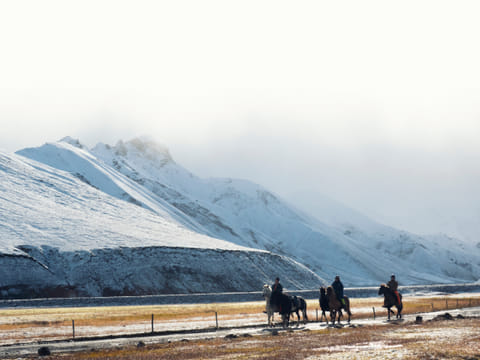 Private Luxury Jeep Tour - Landmannalaugar Day Trip from Reykjavik, photo 4