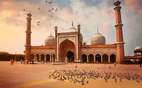 14-Day Cultural and Wildlife Tour of Central India