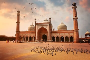14-Day Cultural and Wildlife Tour of Central India