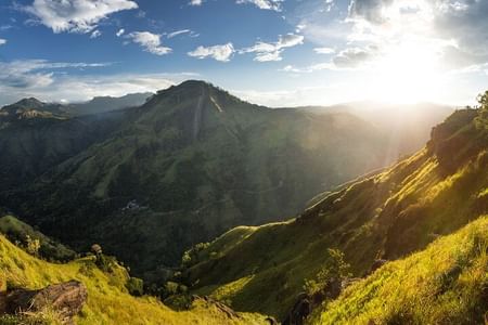Discover Ella: Scenic Tour from Colombo with Tea Factory Visit