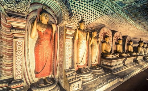 Cultural Heritage Tour of Anuradhapura and Dambulla from Colombo