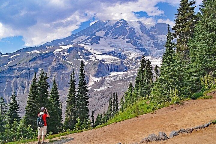 Private SUV Tour: Explore Mt. Rainier National Park's Stunning Wonders