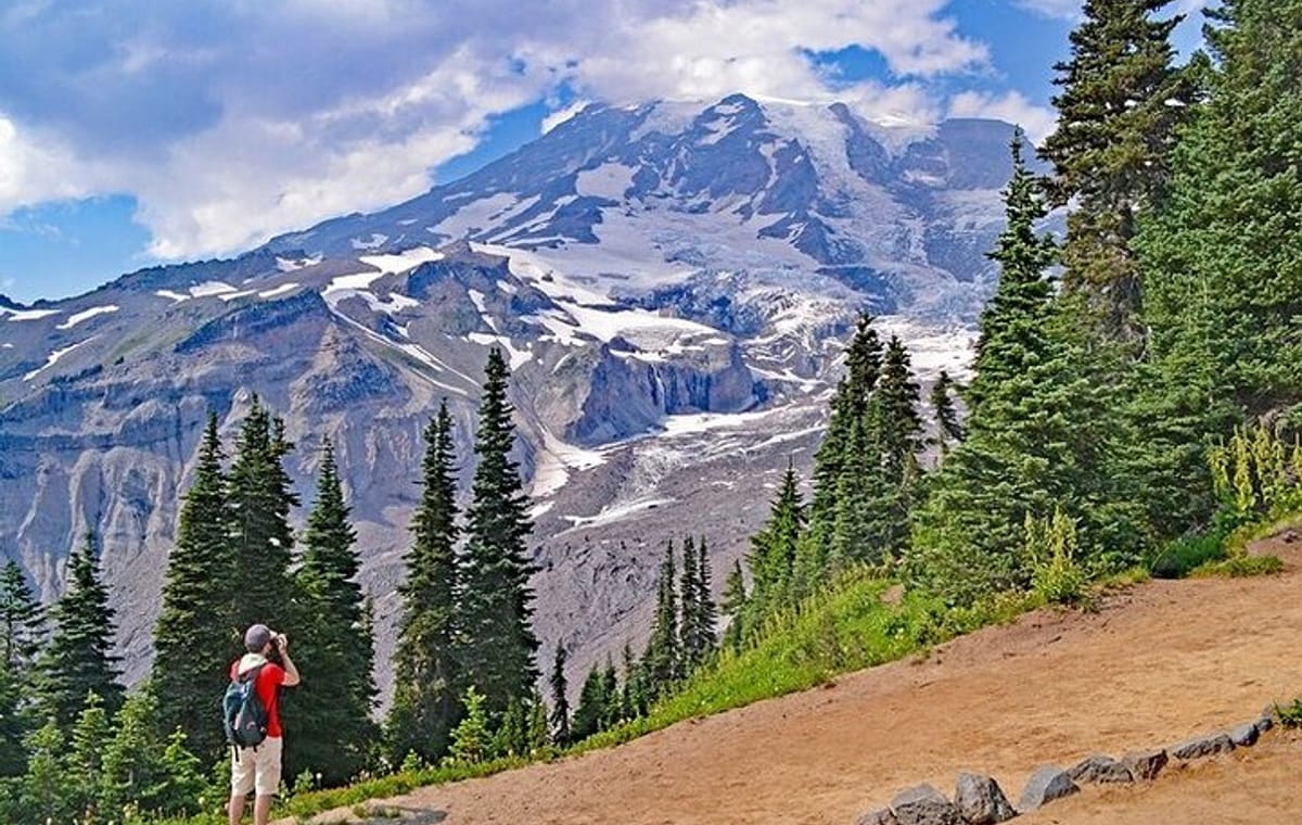 Full-Day Mt Rainier National Park Private Tour in SUV