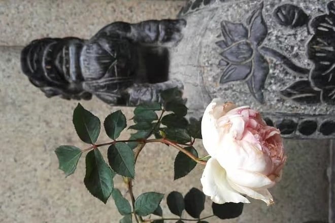 Private Guangzhou Day Tour: Shawan Old Town, Yuyin Hill House, Baomo Garden etc. photo 3