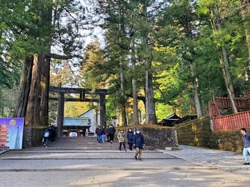 Tokyo to Nikko English Guided Private Tour