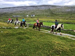 Horse riding the mountain trail. Clare. Guided, 2 hours