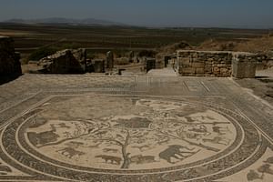Meknès and Roman Ruins of Volubilis: Private Tour from Fes
