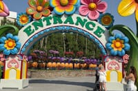 Miracle Garden Global Village Transportation from RAK 3