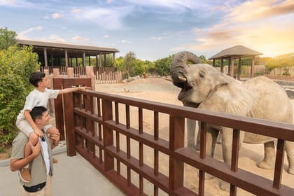 Dubai Safari Park Tour with Private Roundtrip Transfers