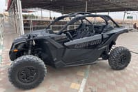 Dubai Desert Dune Buggy Adventure with Camel Ride Hotel Transfers 10
