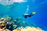 Scuba Diving for Beginners in Marmaris and Icmeler 3